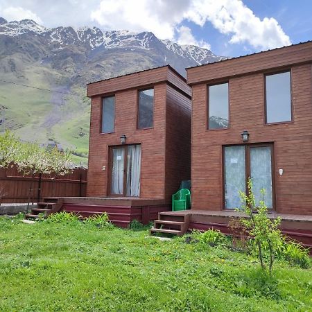 Apartamento T&M Timeless Memories Kazbegi Exterior foto